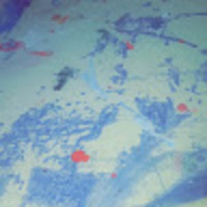 Meet your Posher, Alexia